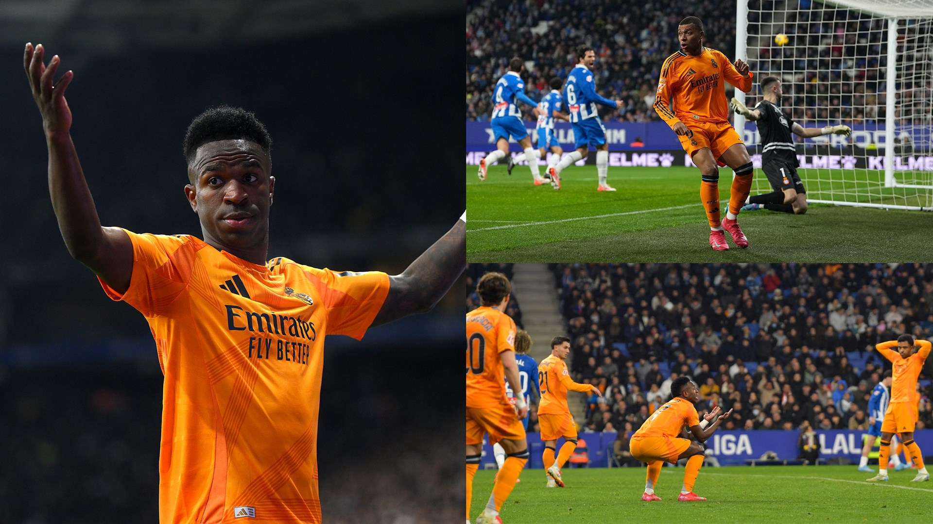 也为他们的 也为他们的